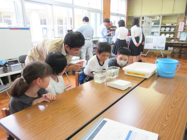 http://www.kitashitara.jp/taguchi-el/3d3935d681139adedaa2f6cf0abd9ac799d2c64c.JPG