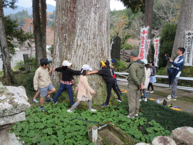 http://www.kitashitara.jp/taguchi-el/547b061cecbe2ff6171dc60abcd25f9d97e38f68.JPG