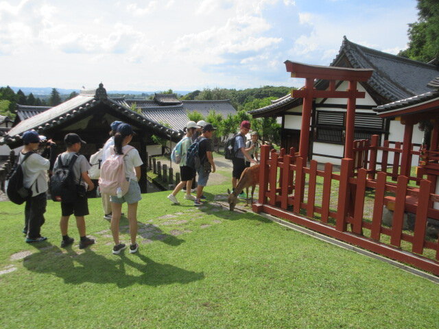 http://www.kitashitara.jp/taguchi-el/72bc3d3dc67aee01e9c5cc57a706675ed6d335d2.JPG