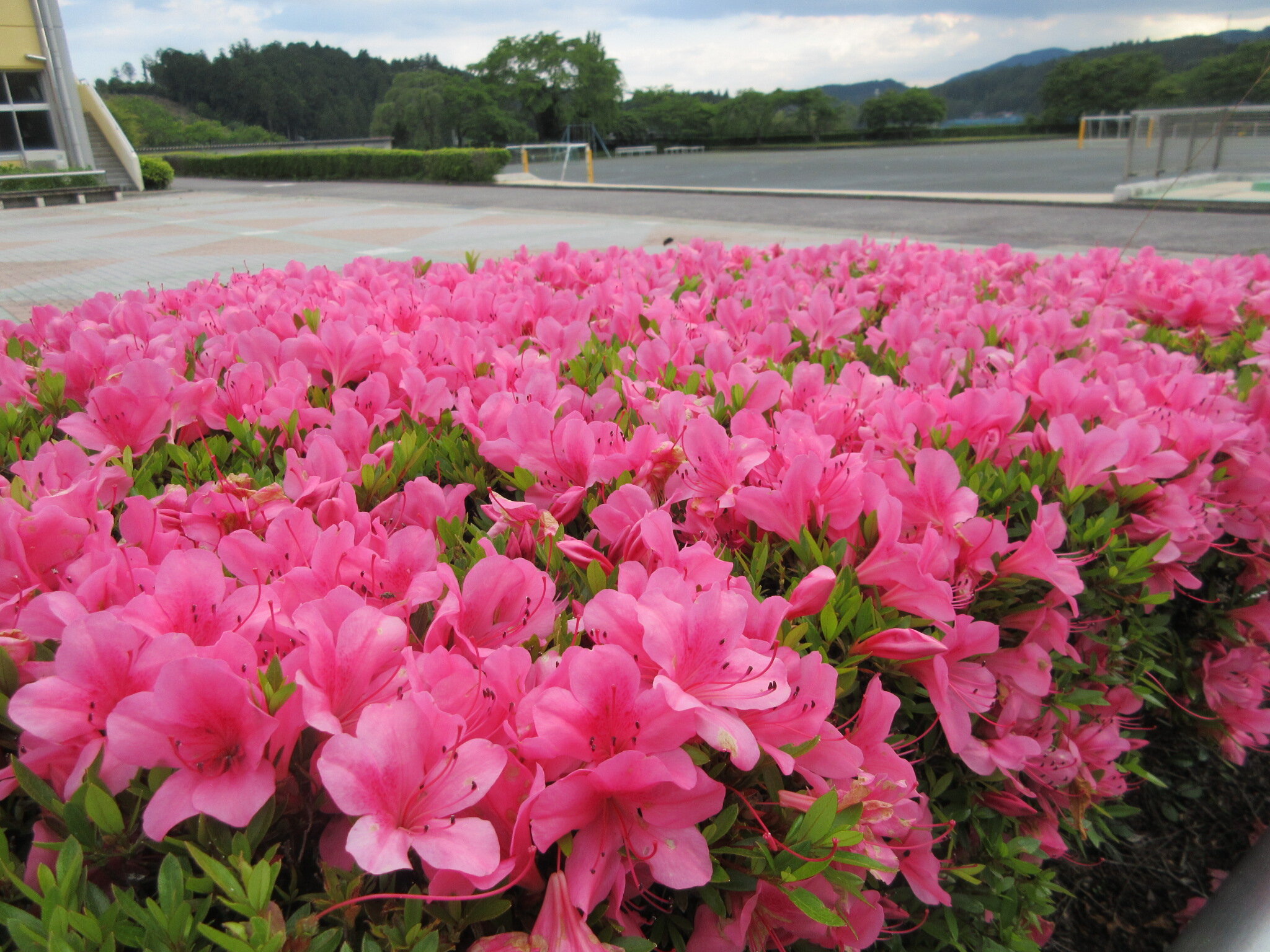 http://www.kitashitara.jp/taguchi-el/8d7b4a3ddcd6ed67159520f06248ac55fc3b20d7.JPG
