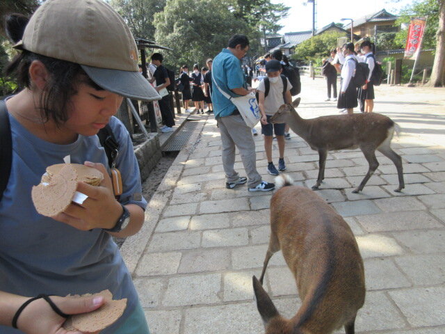 http://www.kitashitara.jp/taguchi-el/94baca2db7be995d7ae6d9eaf690546d11aea903.JPG