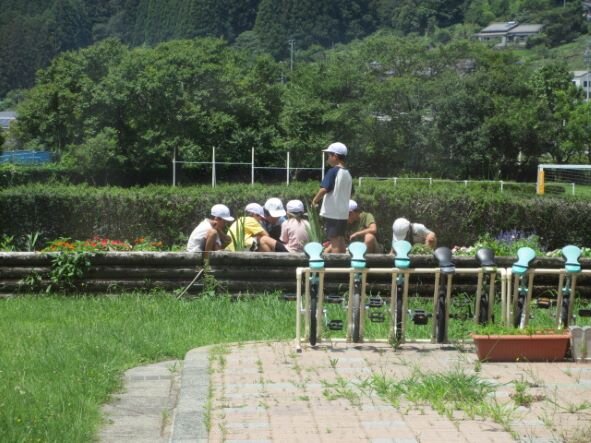 http://www.kitashitara.jp/taguchi-el/IMG_0754.JPG
