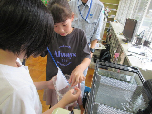 http://www.kitashitara.jp/taguchi-el/IMG_1403.JPG
