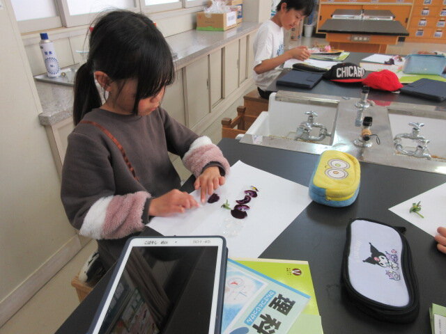 http://www.kitashitara.jp/taguchi-el/IMG_1942.JPG