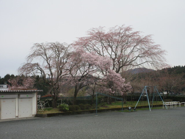http://www.kitashitara.jp/taguchi-el/IMG_9809.JPG