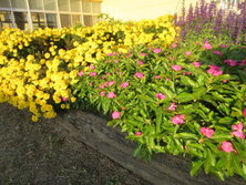 IMG_3683.JPG