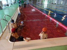 100_0150.JPG