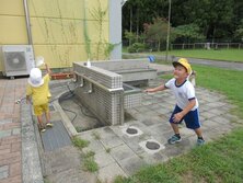IMG_8804.jpg