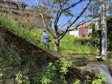 IMG_0979.JPG