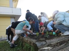 IMG_9098.JPG