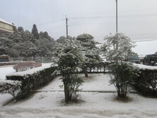 IMG_9200.JPG