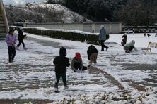 s-IMG_3965.jpg