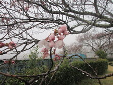 IMG_9795.JPG