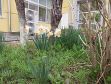 IMG_9804.JPG