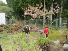 IMG_9960.JPG
