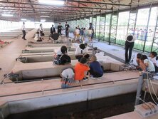 s-IMG_0237.jpg