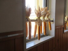 IMG_1015.JPG