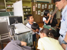 IMG_1247.JPG
