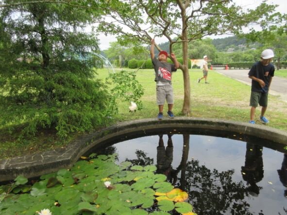http://www.kitashitara.jp/taguchi-el/d2727403748026d94c37fa116a864182caf16ca6.JPG