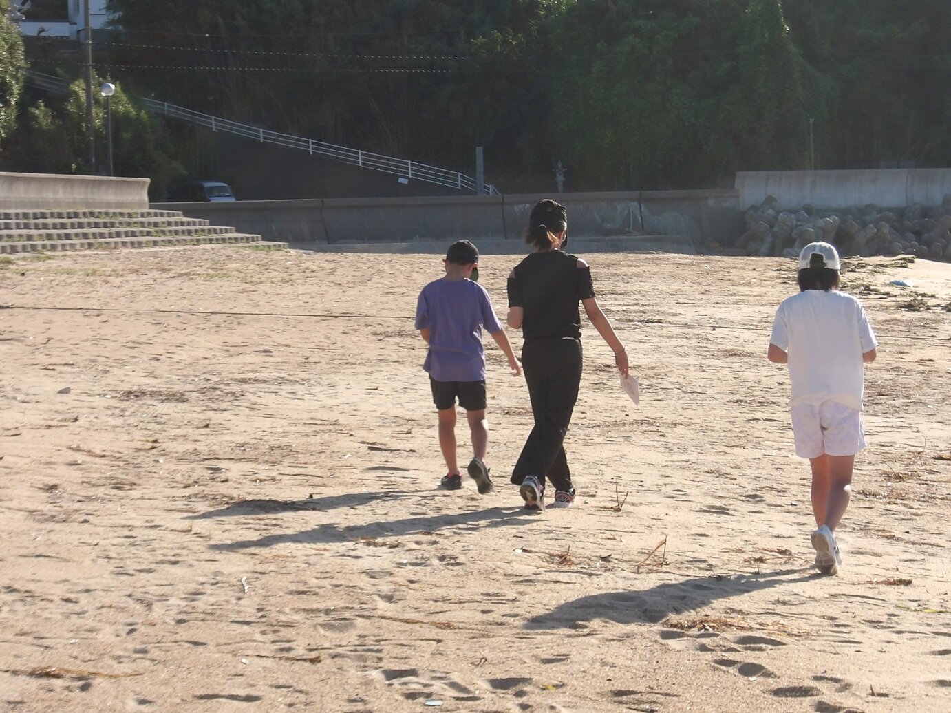 http://www.kitashitara.jp/toei-el/100_0757.JPG