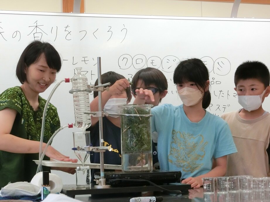 http://www.kitashitara.jp/toei-el/CIMG1978.JPG