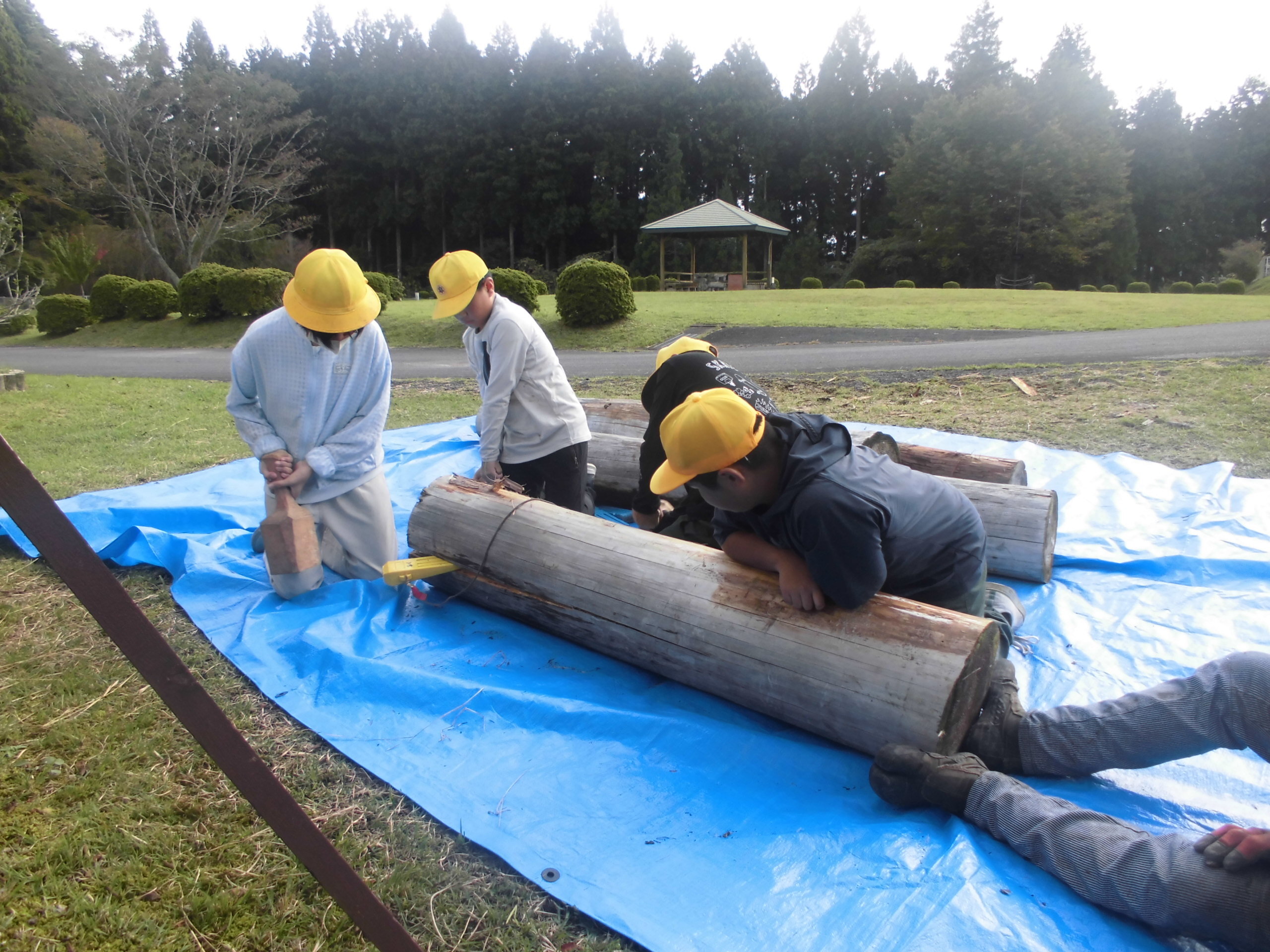 http://www.kitashitara.jp/toei-el/CIMG3390.JPG