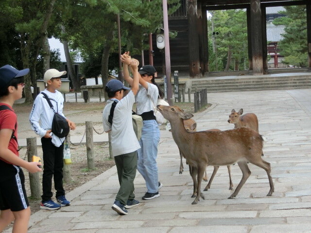 http://www.kitashitara.jp/toei-el/CIMG3683.JPG