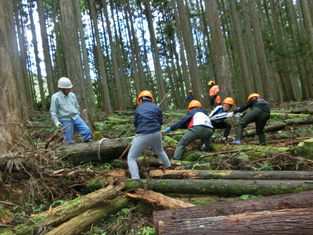 http://www.kitashitara.jp/toei-el/CIMG3962.JPG