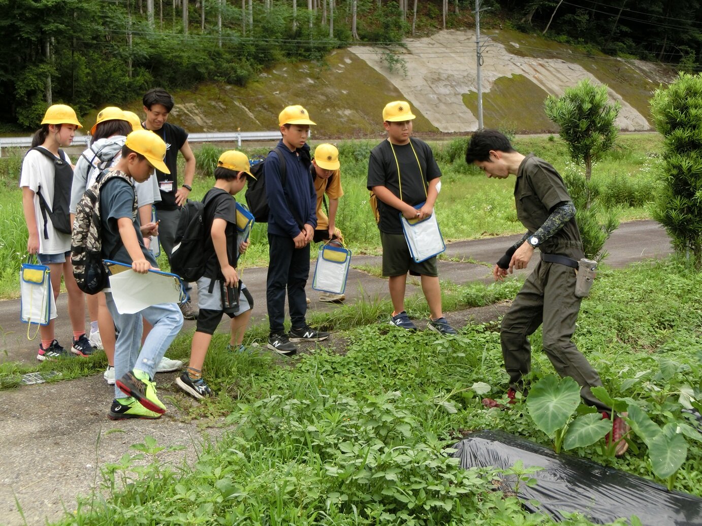 http://www.kitashitara.jp/toei-el/CIMG6550.JPG