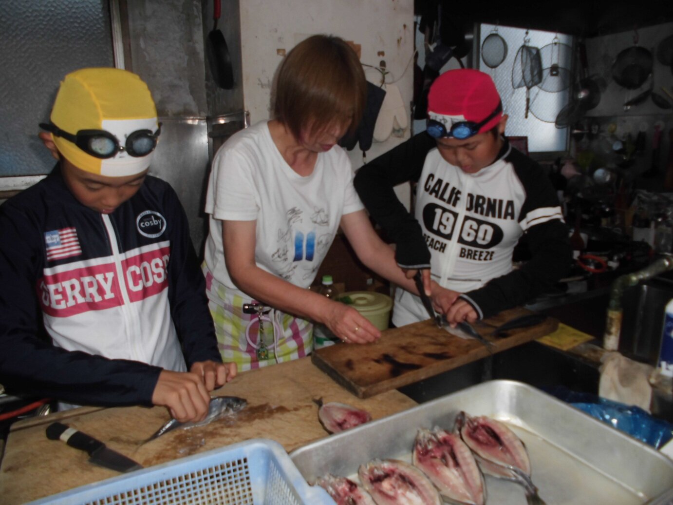 http://www.kitashitara.jp/toei-el/CIMG6677.JPG