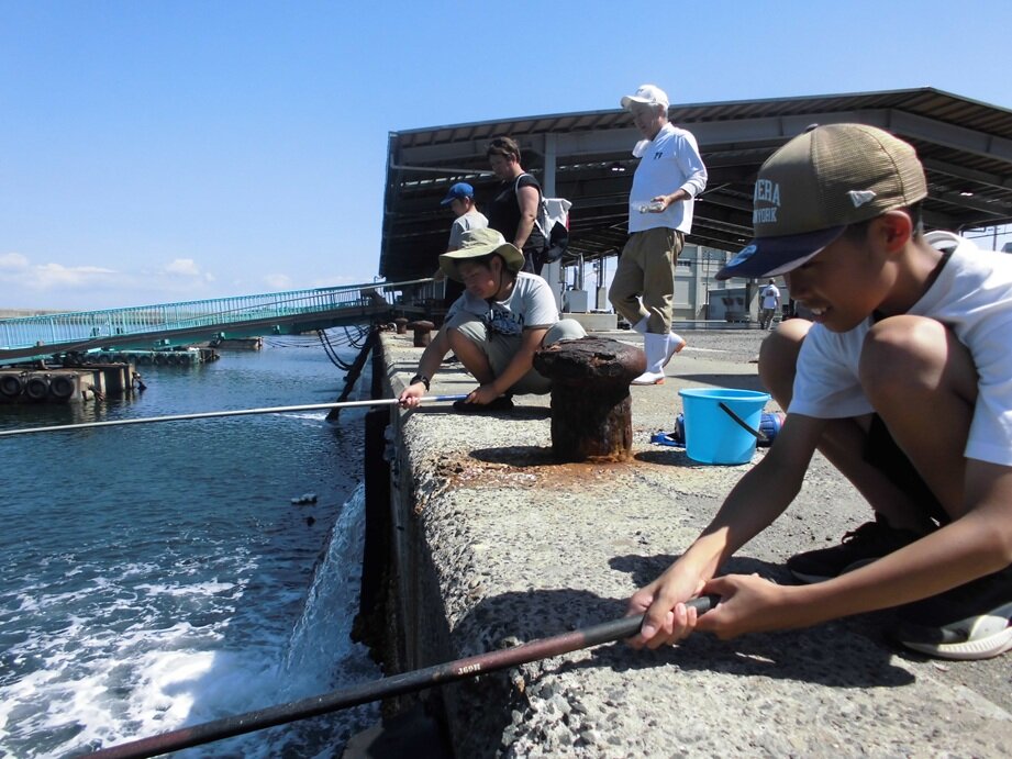http://www.kitashitara.jp/toei-el/CIMG6700.JPG