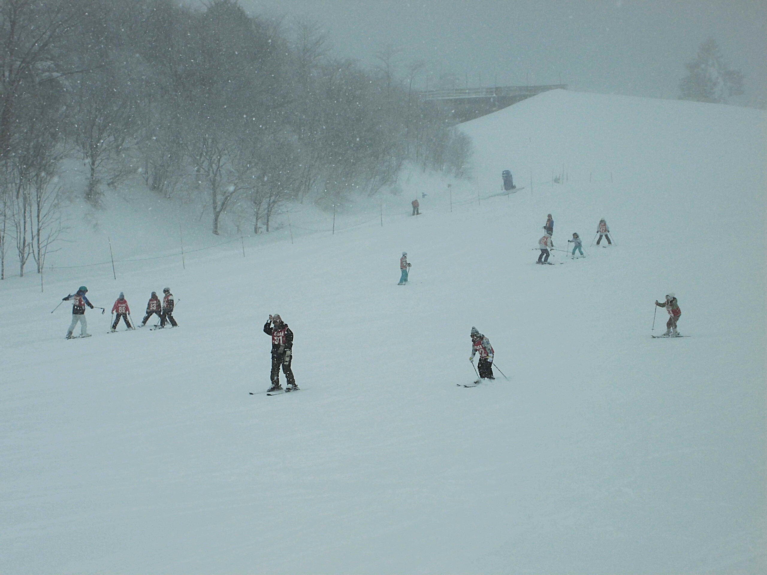 http://www.kitashitara.jp/toei-el/CIMG9120.JPG