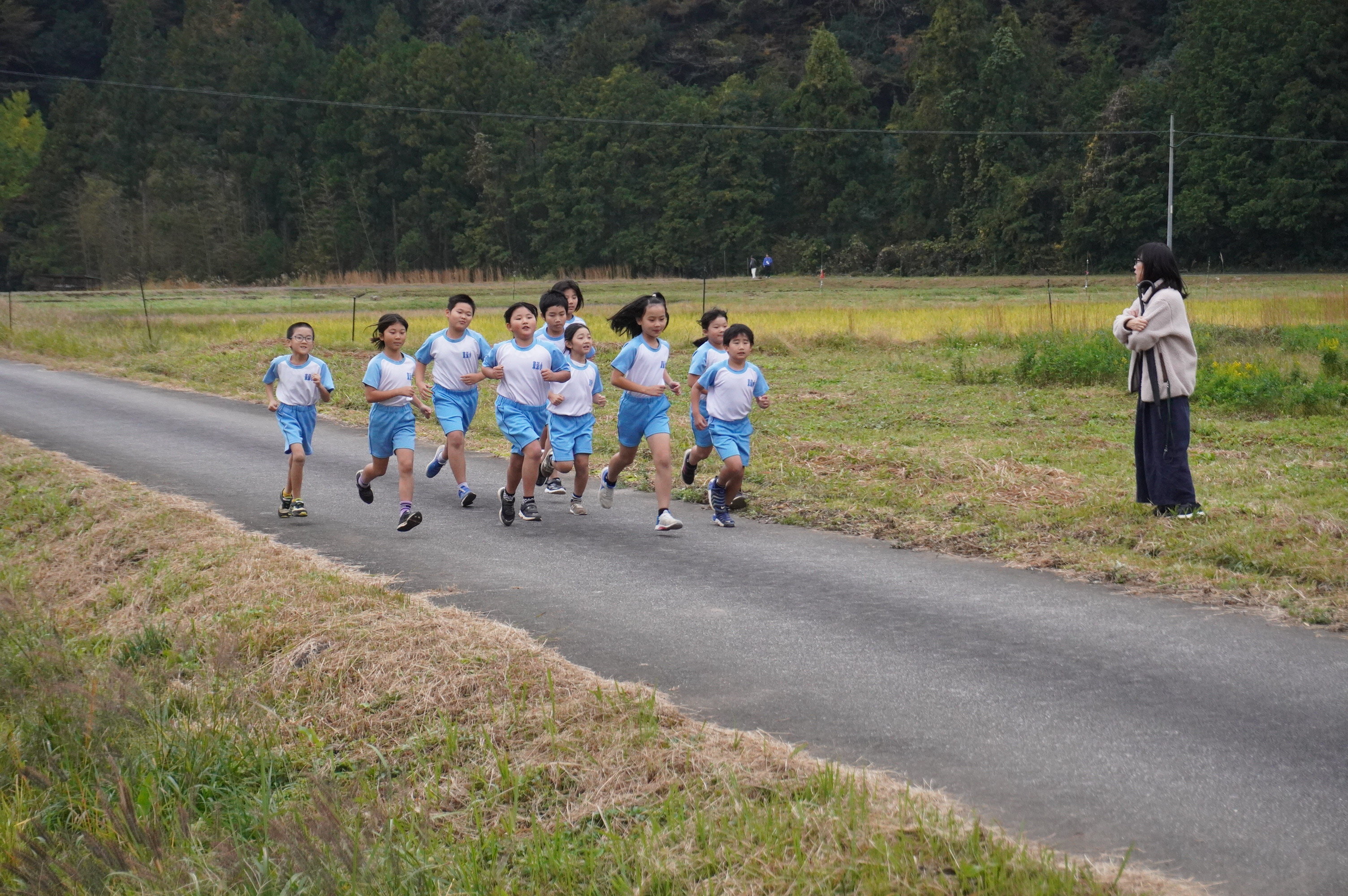 http://www.kitashitara.jp/toei-el/DSC04277.JPG