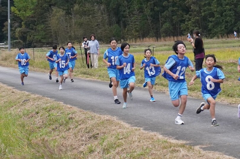 http://www.kitashitara.jp/toei-el/DSC04367.JPG