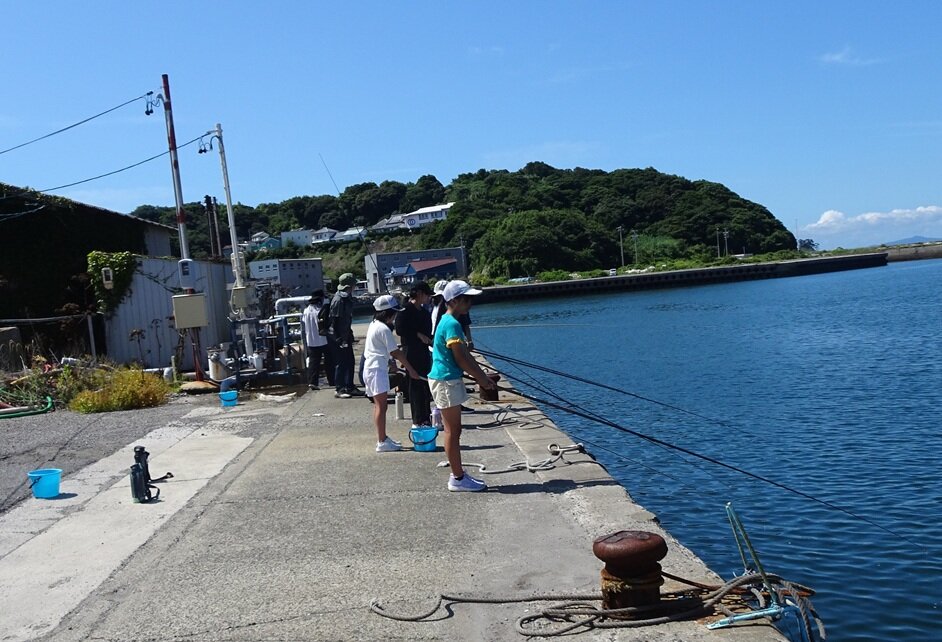 http://www.kitashitara.jp/toei-el/DSC05376.JPG