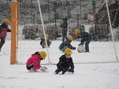 IMG_3649.jpg