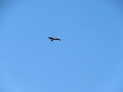 IMG_5514.jpg