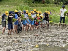 IMG_0430.jpg