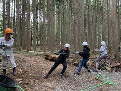 IMG_4717.jpg