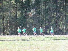 IMG_5986.jpg