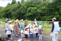 IMGP2616.JPG