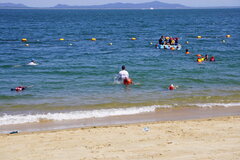 DSC02567.JPG