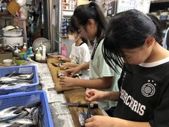 IMG_5215.JPG