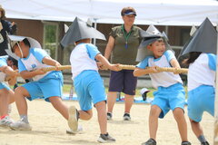 IMG_6781.JPG