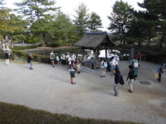 CIMG8899.JPG