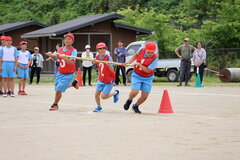 IMG_1533.JPG