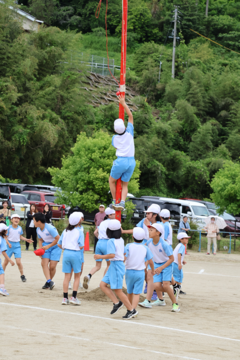 IMG_1701.png