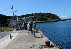 DSC05376.JPG