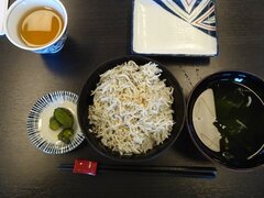 DSC05391.JPG