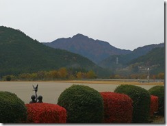 IMG_20171120_075745